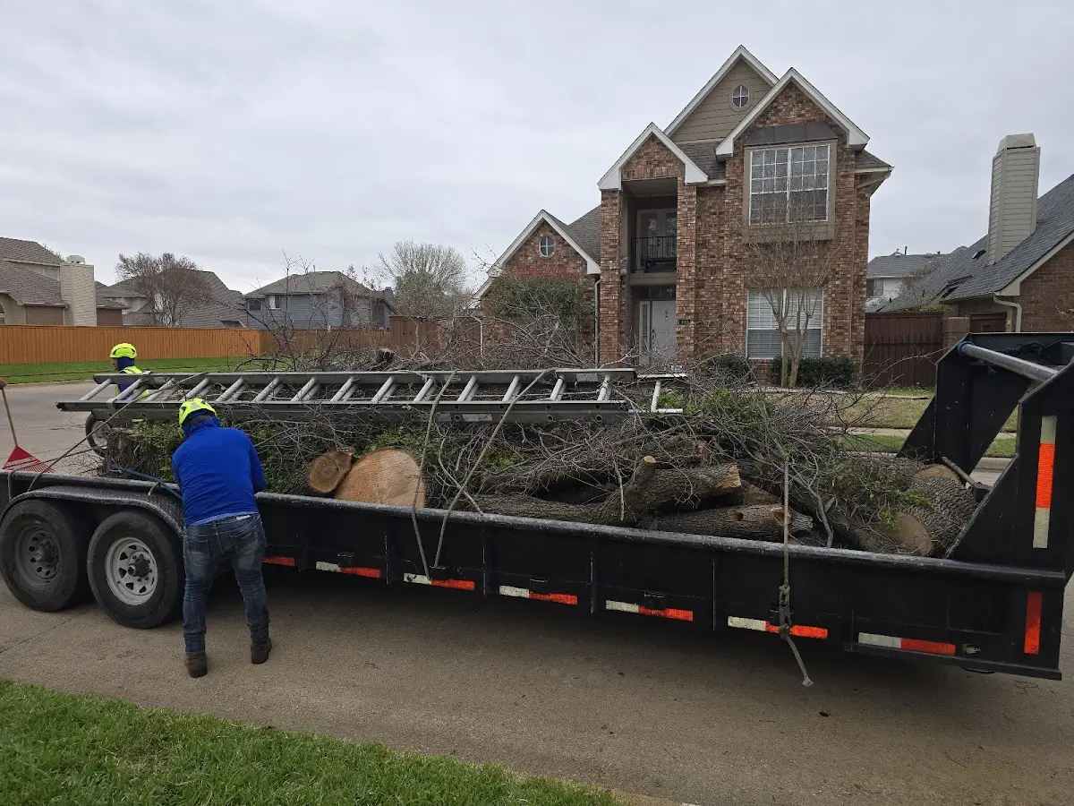 Expert Crown Reduction with proper safety equipment in Macungie